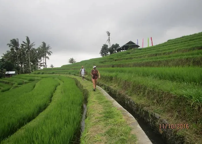 Suweden Jatiluwih Selemadeg