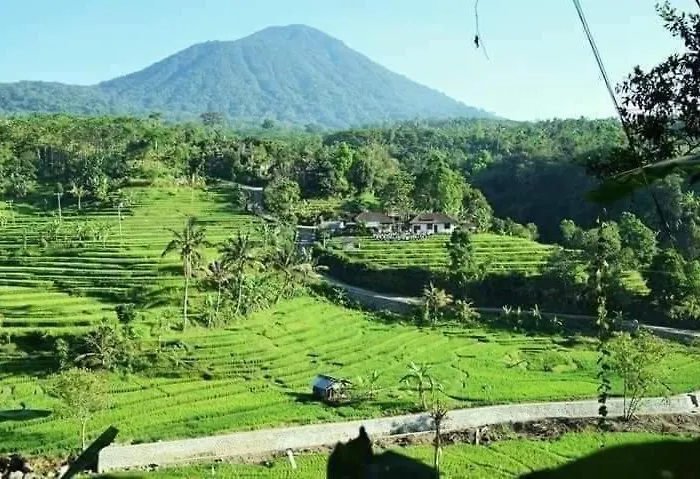Suweden Jatiluwih * Selemadeg